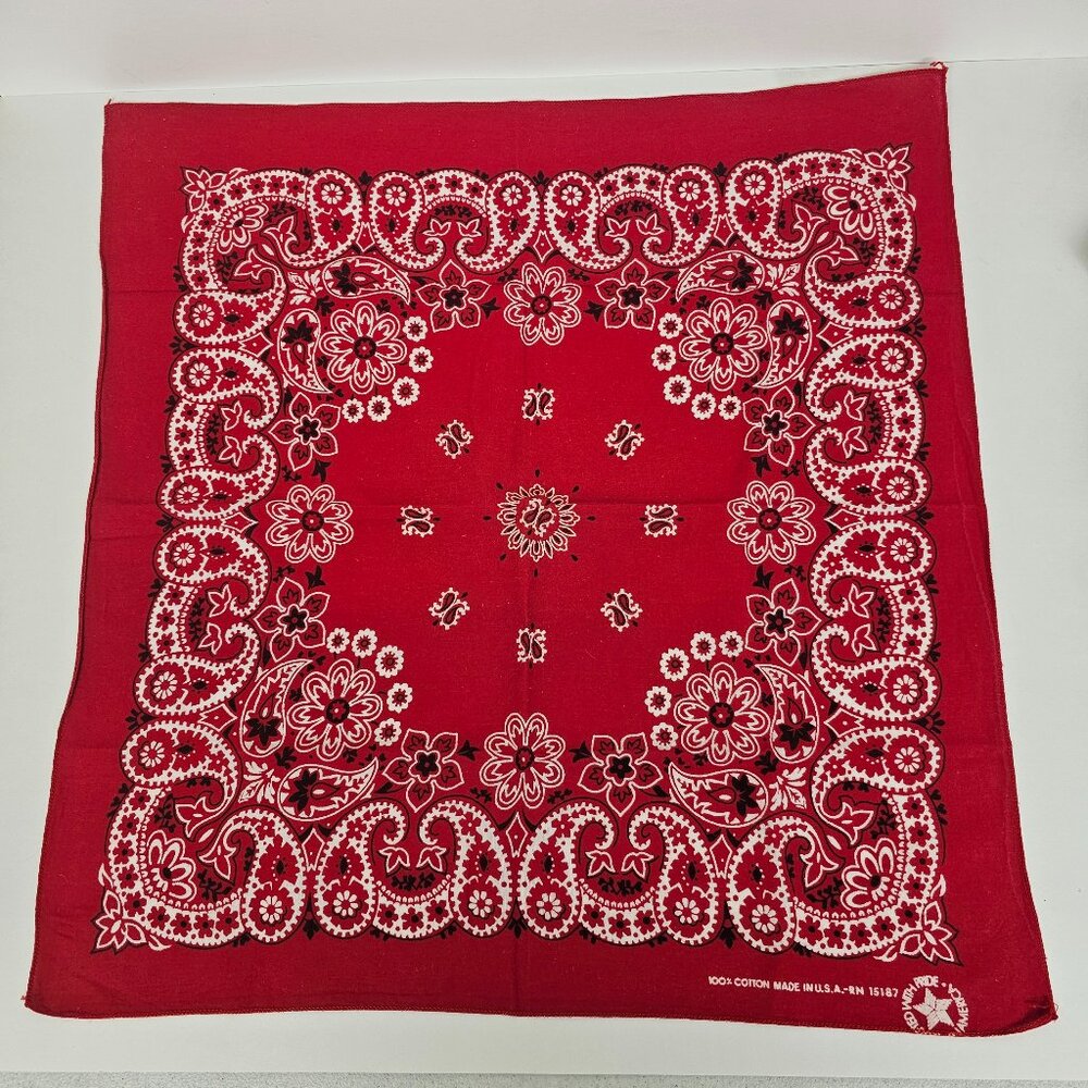 Vtg Red Floral Paisley 100% Cotton Made in USA RN 15187 Bandana Handkerchief 20"